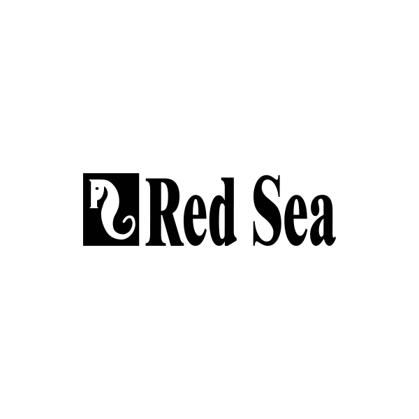 Red Sea