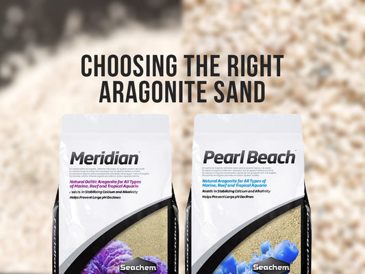 Seachem Meridian vs. Pearl Beach: Choosing the Right Aragonite Sand for Your Saltwater Reef Tank