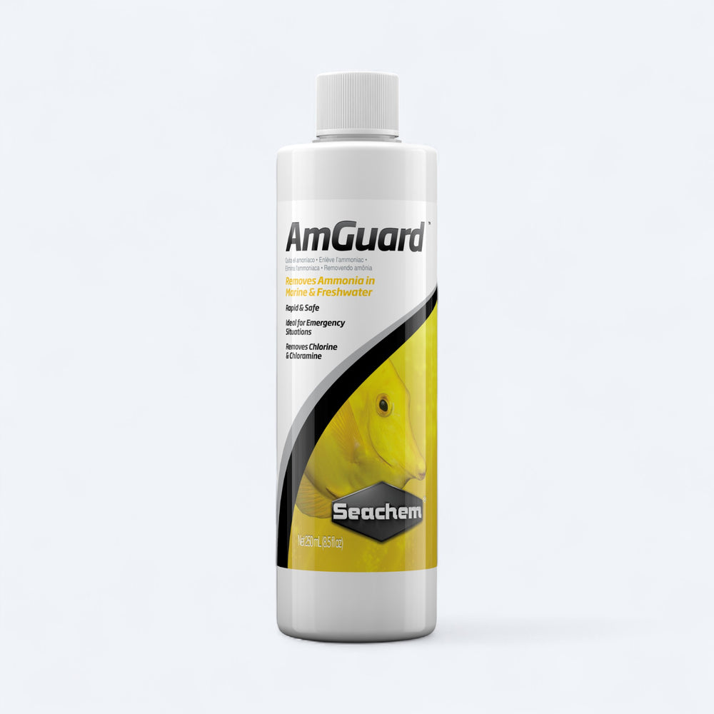 Seachem AmGuard 250mL | FishyPH