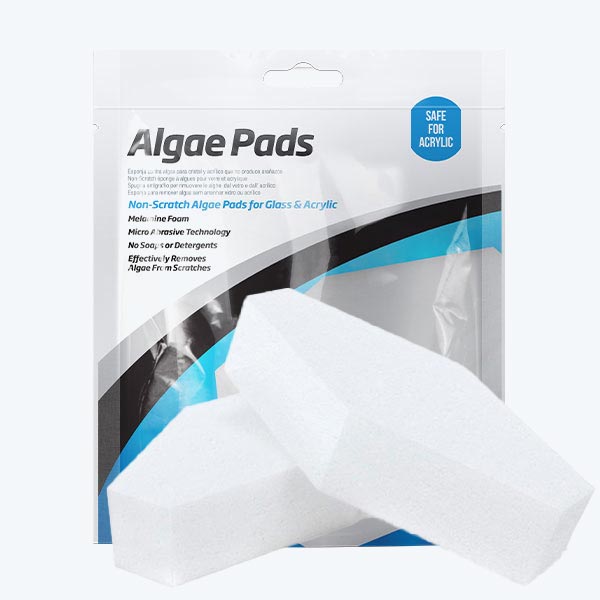 Algae Pads For Aquarium Fishyph FishyPH