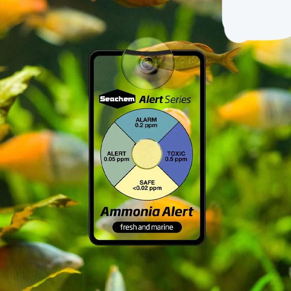 Seachem Ammonia Alert Test Kit | FishyPH
