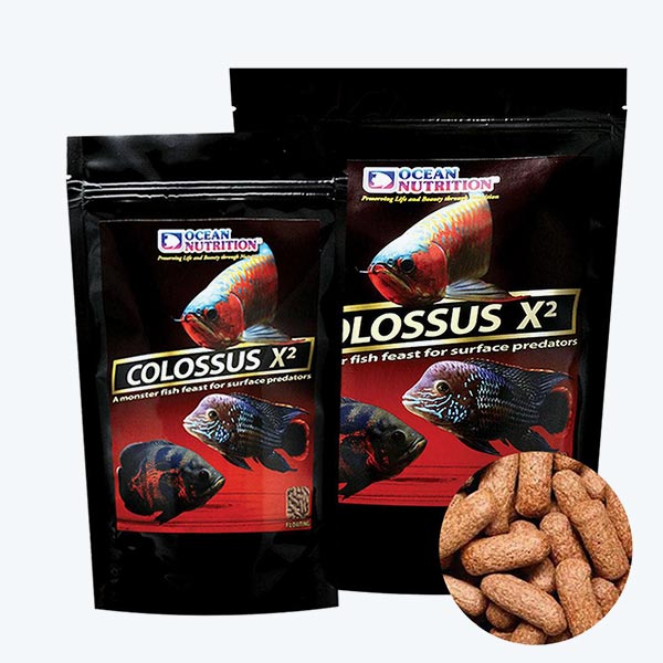 Ocean Nutrition Colossus X2 | FishyPH