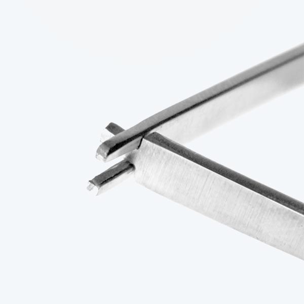 Aquavitro Crescent Coral Cutter | FishyPH