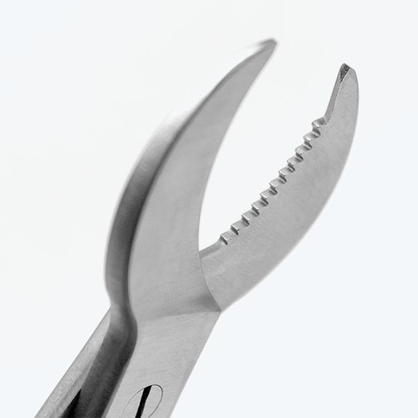 Aquavitro Crescent Coral Cutter | FishyPH