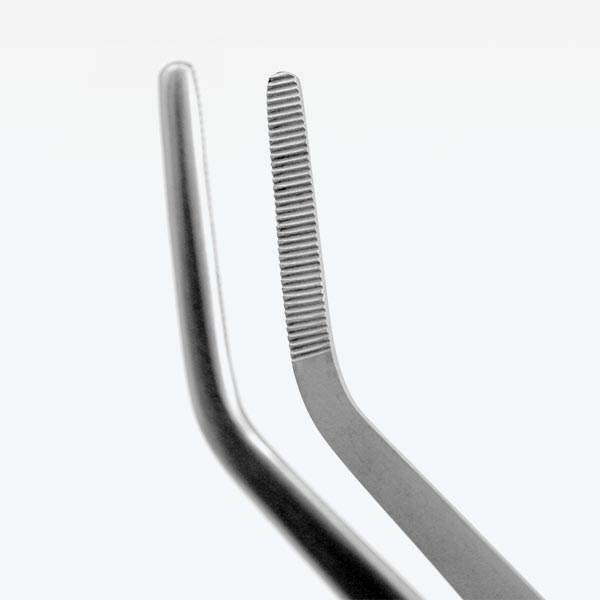 Aquavitro Curved Forceps | FishyPH