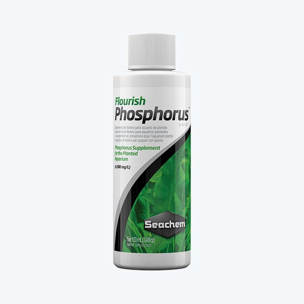 Seachem Flourish Phosphorus 100ml | FishyPH