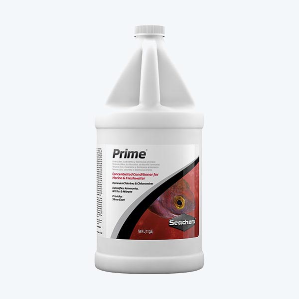 Seachem Prime 4L | FishyPH
