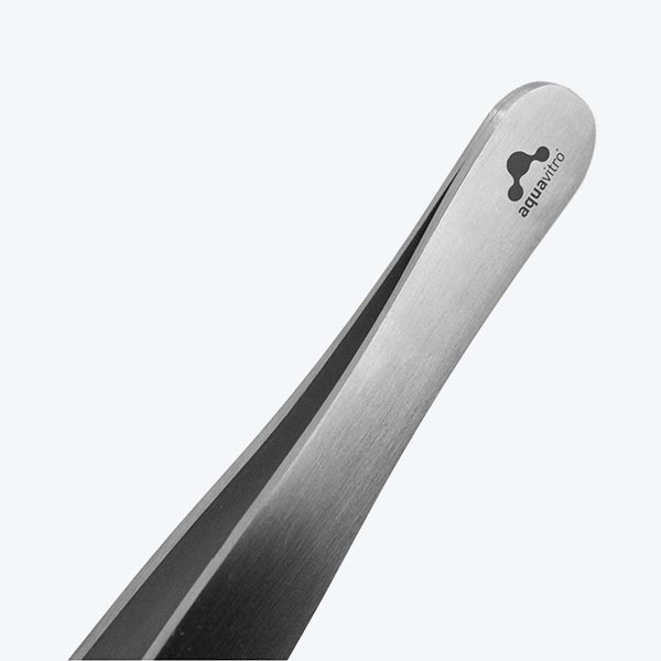 Aquavitro Straight Fine Tip Forceps | FishyPH