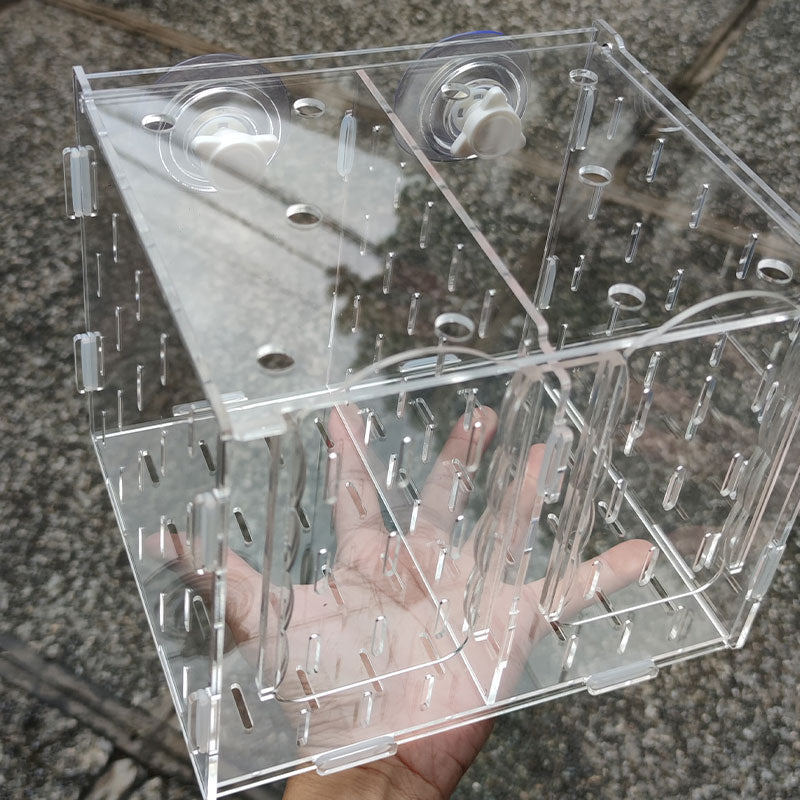 Wavereef ISO Box