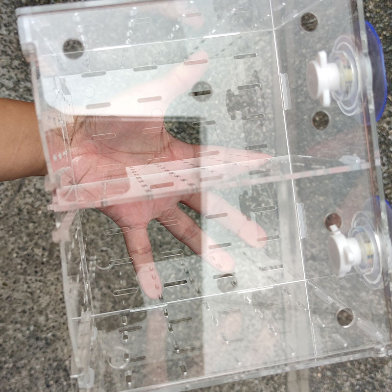 Wavereef ISO Box