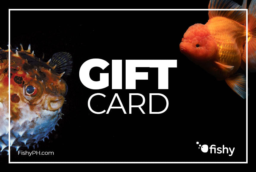 FishyPH Gift Card