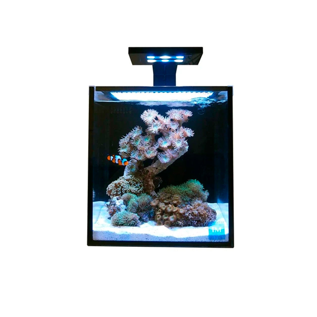 Innovative Marine Nuvo Aquarium - Fusion Nano 10