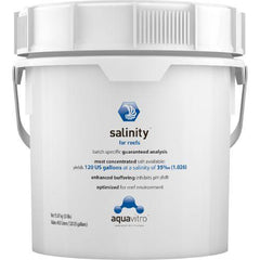 Salinity