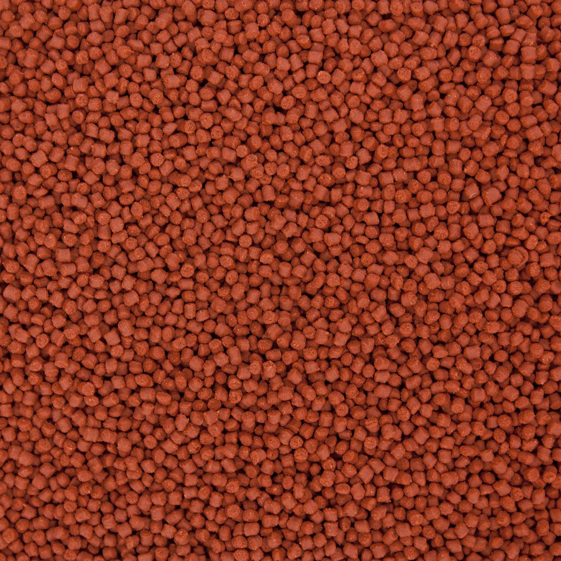 OceanNutrition Formula1 Pellet Small Pellet | FishyPH