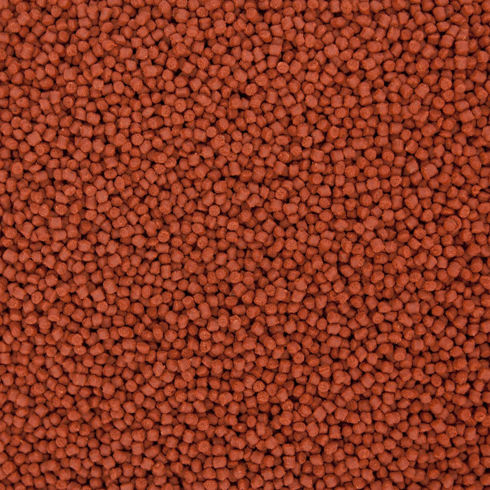 OceanNutrition Formula1 Pellet Small Pellet | FishyPH